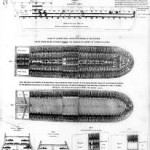 Slave Ship Diagram